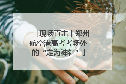 现场直击丨郑州航空港高考考场外的“定海神针”