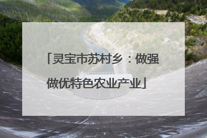 灵宝市苏村乡：做强做优特色农业产业