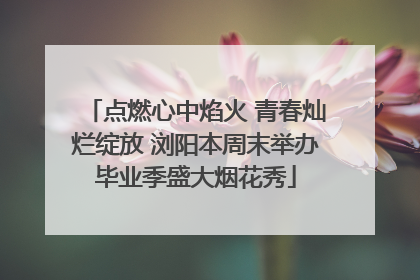 点燃心中焰火 青春灿烂绽放 浏阳本周末举办毕业季盛大烟花秀