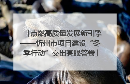点燃高质量发展新引擎——忻州市项目建设“冬季行动”交出亮眼答卷