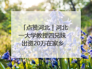 点赞河北｜河北一大学教授四兄妹出资20万在家乡设立“奖学金”，13年为320名农村学生种下“希望的种子”
