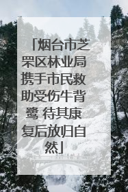 烟台市芝罘区林业局携手市民救助受伤牛背鹭 待其康复后放归自然