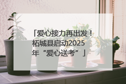爱心接力再出发！柘城县启动2025年“爱心送考”