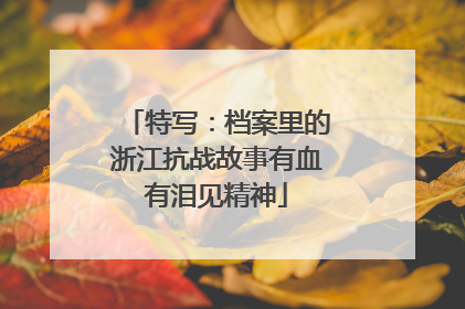 特写：档案里的浙江抗战故事有血有泪见精神
