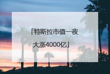 特斯拉市值一夜大涨4000亿