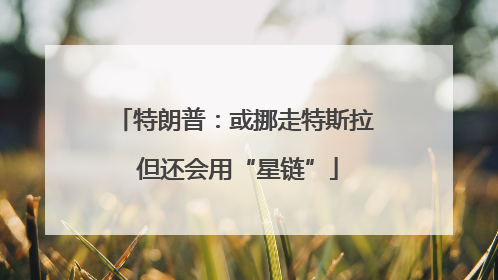 特朗普：或挪走特斯拉 但还会用“星链”