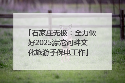 石家庄无极：全力做好2025滹沱河畔文化旅游季保电工作