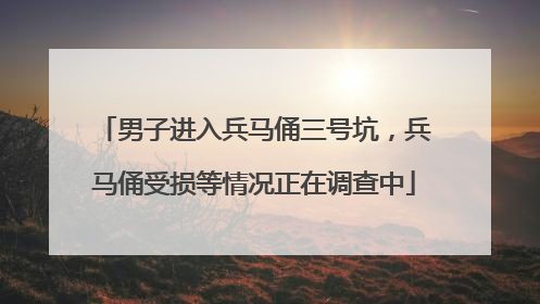 男子进入兵马俑三号坑，兵马俑受损等情况正在调查中