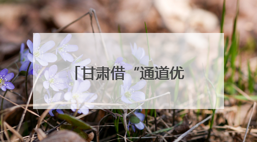 甘肃借“通道优势”加速开放
