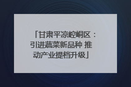甘肃平凉崆峒区：引进蔬菜新品种 推动产业提档升级