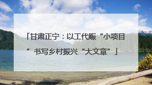 甘肃正宁：以工代赈“小项目”书写乡村振兴“大文章”