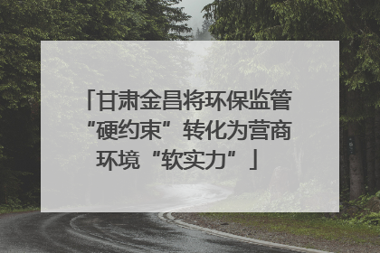 甘肃金昌将环保监管“硬约束”转化为营商环境“软实力”