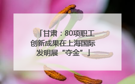 甘肃：80项职工创新成果在上海国际发明展“夺金”