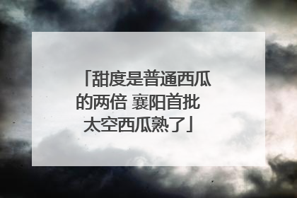 甜度是普通西瓜的两倍 襄阳首批太空西瓜熟了