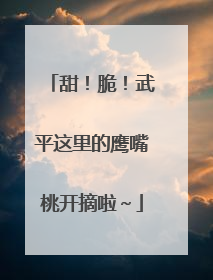 甜！脆！武平这里的鹰嘴桃开摘啦～