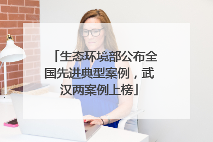 生态环境部公布全国先进典型案例，武汉两案例上榜