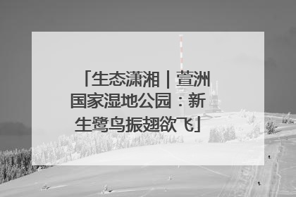 生态潇湘｜萱洲国家湿地公园：新生鹭鸟振翅欲飞
