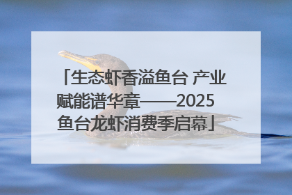 生态虾香溢鱼台 产业赋能谱华章——2025鱼台龙虾消费季启幕