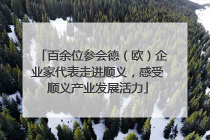 百余位参会德（欧）企业家代表走进顺义，感受顺义产业发展活力
