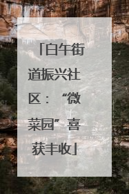 白午街道振兴社区：“微菜园”喜获丰收