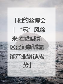 相约丝博会｜“氢”风徐来 看西咸新区泾河新城氢能产业聚链成势