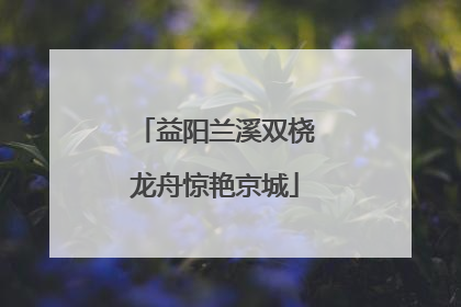益阳兰溪双桡龙舟惊艳京城