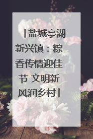 盐城亭湖新兴镇：粽香传情迎佳节 文明新风润乡村