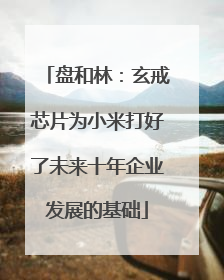 盘和林：玄戒芯片为小米打好了未来十年企业发展的基础