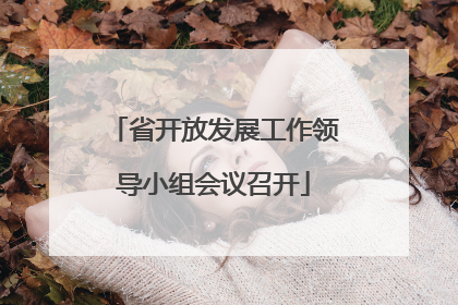 省开放发展工作领导小组会议召开