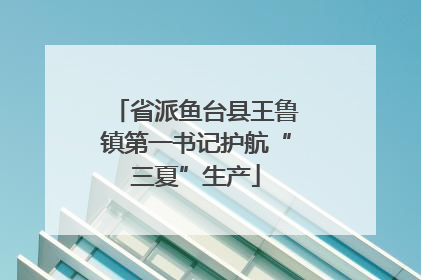 省派鱼台县王鲁镇第一书记护航“三夏”生产