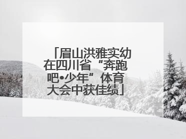 眉山洪雅实幼在四川省“奔跑吧•少年”体育大会中获佳绩