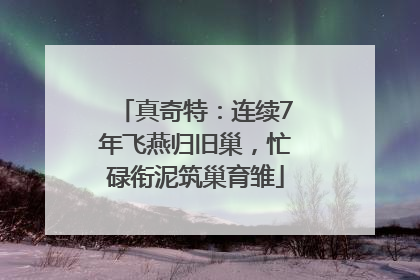 真奇特：连续7年飞燕归旧巢，忙碌衔泥筑巢育雏