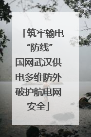 筑牢输电“防线” 国网武汉供电多维防外破护航电网安全