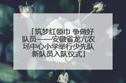筑梦红领巾 争做好队员——安徽省龙亢农场中心小学举行少先队新队员入队仪式