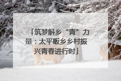 筑梦斛乡“青”力量：太平畈乡乡村振兴青春进行时