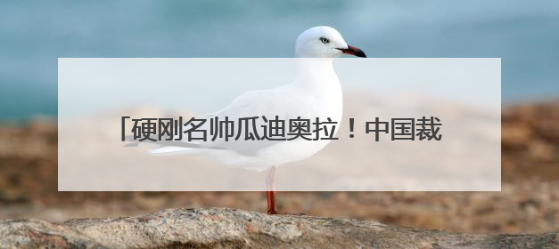 硬刚名帅瓜迪奥拉！中国裁判马宁世俱杯执法引热议