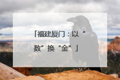 福建厦门：以“数”换“金”