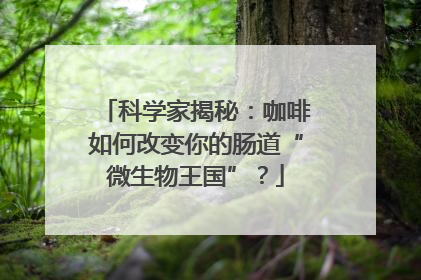 科学家揭秘：咖啡如何改变你的肠道“微生物王国”？