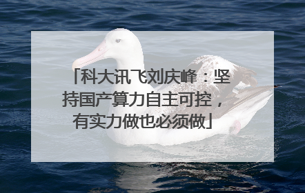 科大讯飞刘庆峰：坚持国产算力自主可控，有实力做也必须做