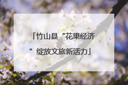 竹山县“花果经济”绽放文旅新活力