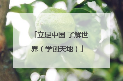 立足中国 了解世界（学创天地）