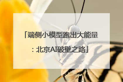 端侧小模型跑出大能量：北京AI破壁之路