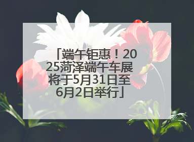 端午钜惠！2025菏泽端午车展将于5月31日至6月2日举行