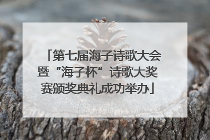 第七届海子诗歌大会暨“海子杯”诗歌大奖赛颁奖典礼成功举办