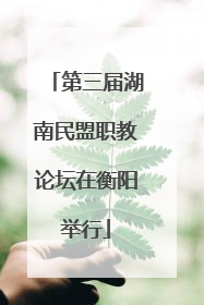 第三届湖南民盟职教论坛在衡阳举行