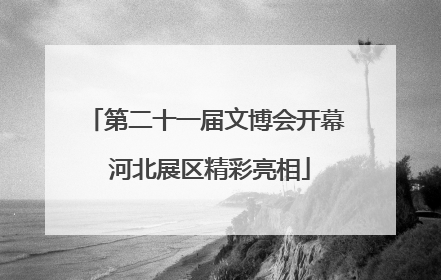 第二十一届文博会开幕 河北展区精彩亮相