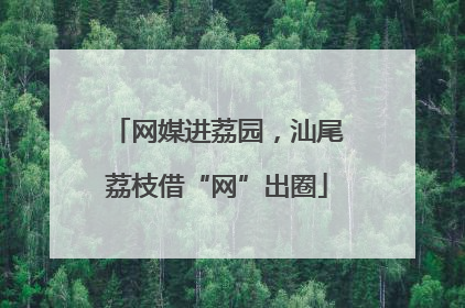 网媒进荔园，汕尾荔枝借“网”出圈