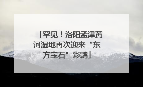罕见！洛阳孟津黄河湿地再次迎来“东方宝石”彩鹮