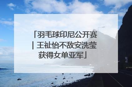 羽毛球印尼公开赛｜王祉怡不敌安洗莹 获得女单亚军