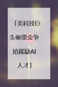 美科技巨头砸重金争抢稀缺AI人才